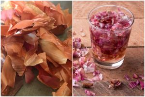 Great Onion Skin Benefits in Your Garden